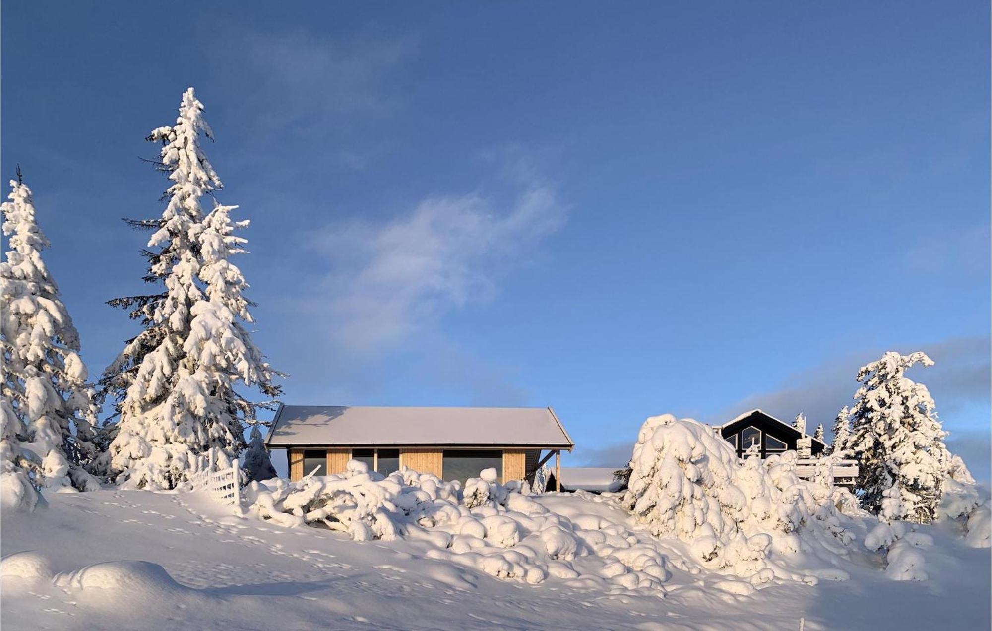 Amazing Home In Sjusjoen With Kitchen Eksteriør billede